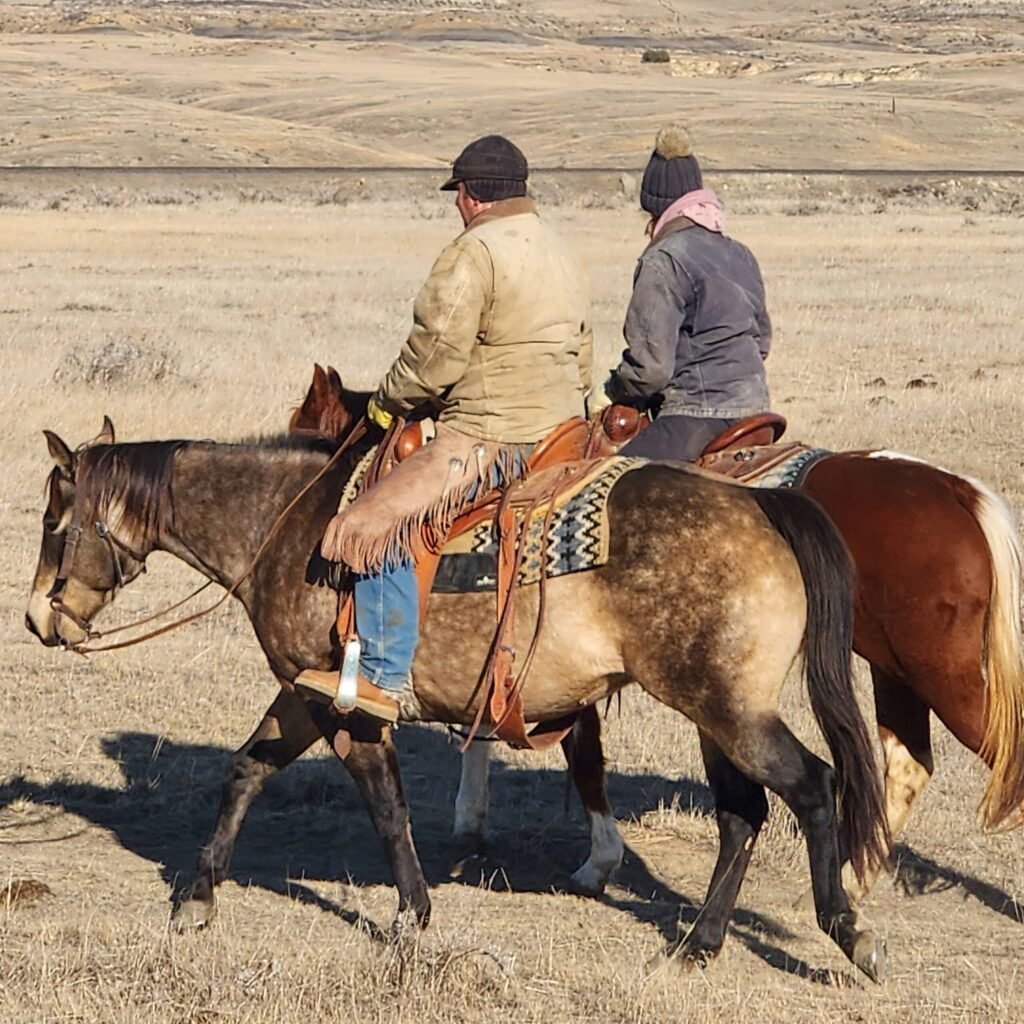 Riders on horses with western gear on a sunny day.