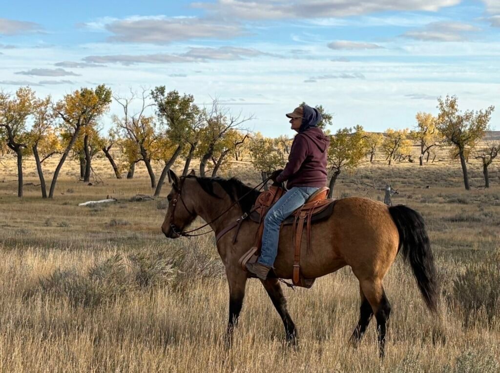 A rider in a maroon sweatshirt on a buckskin horse with fall trees in the background.