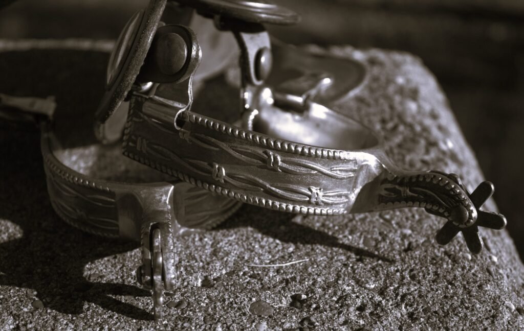 Black and white photo of a pair of spurs.