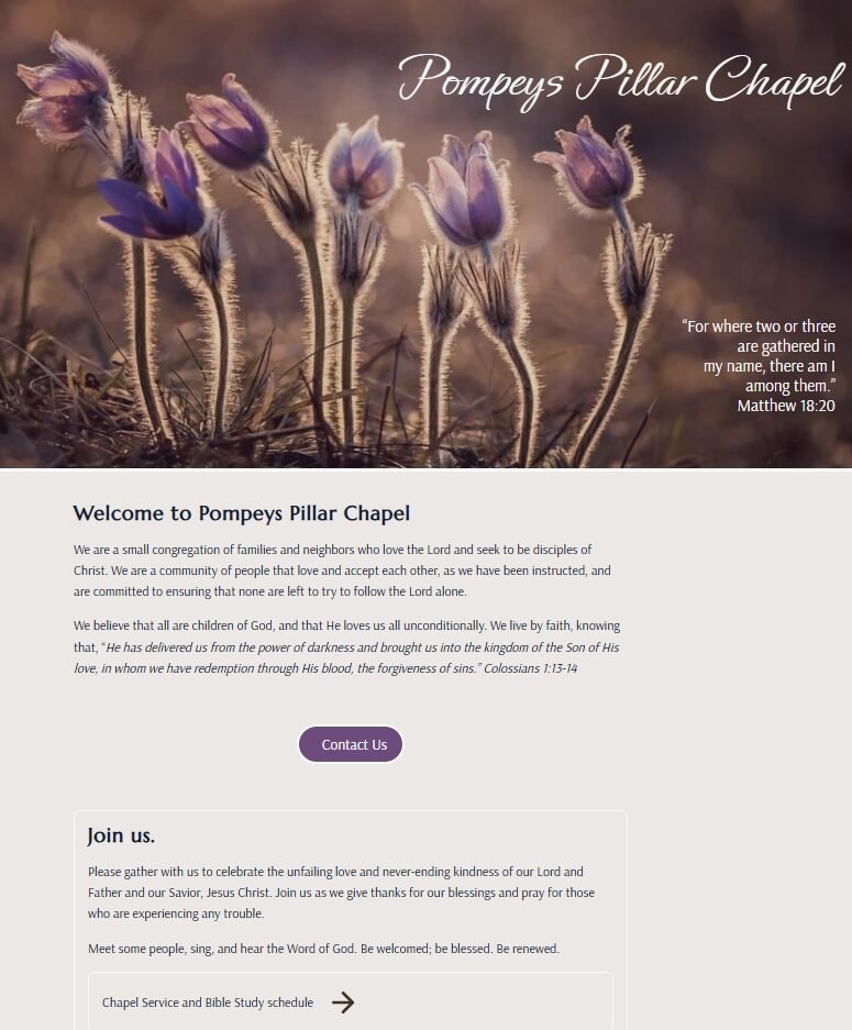 Screenshot of a website Hero section featuring a photo of  purple wildflowers known as pasque flowers.