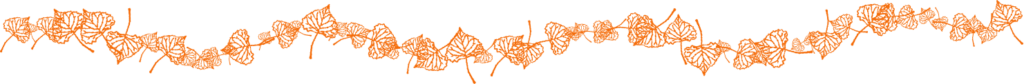 Vector