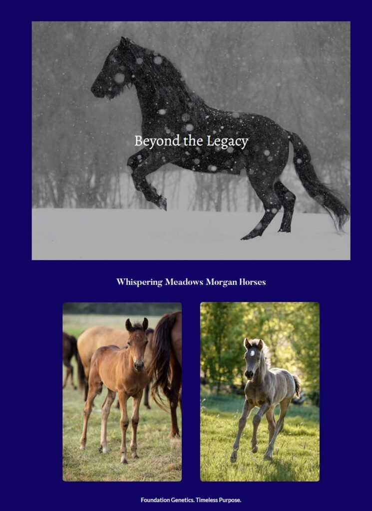 Screenshot of a web page with photographs of horses.
